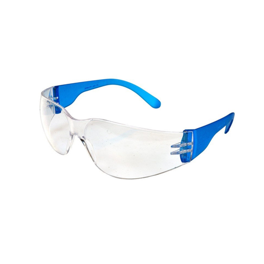 Student Lab Goggles